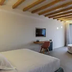 Splendid Mykonos Luxury & וילה *